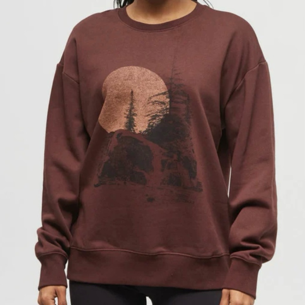 Tentree Organic Cotton Graphic Crewneck Sweatshirt Backcountry Brown XS